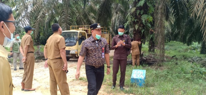 Sidak PT Citra, Wabup Temukan Beberapa Kejanggalan dan TBS Juga Berasal Dari Kawasan Hutan (foto/int) 