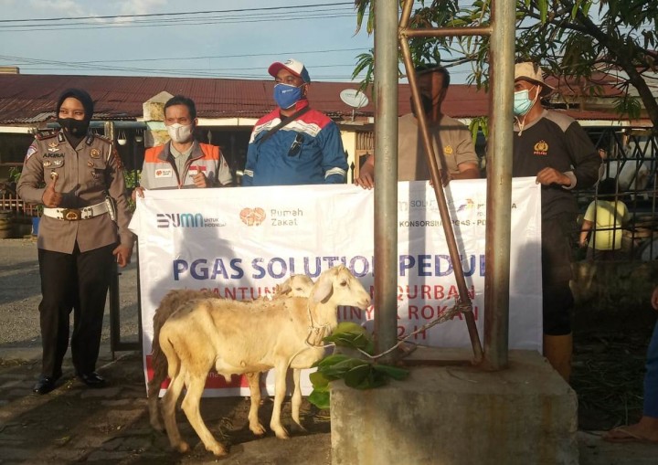 Rumah Zakat (RZ) bersama PT PGAS, menyalurkan bantuan hewan qurban kepada masyarakat di Duri, Kabupaten Bengkalis dan Kota Dumai (foto: Istimewa)
