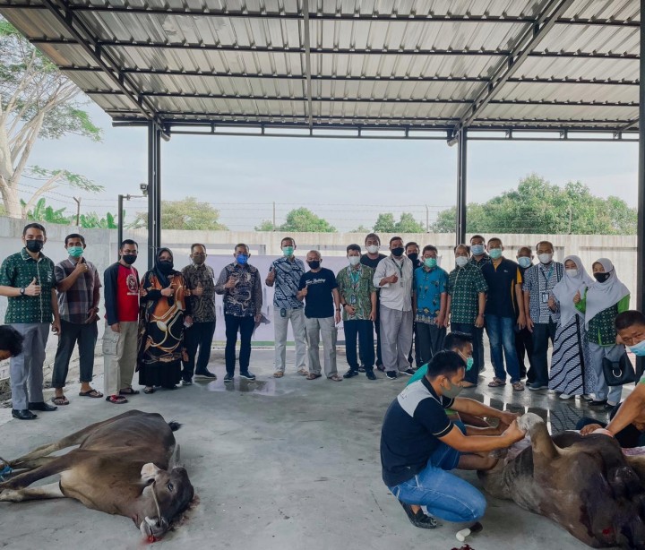 PT Pegadaian Kanwil II Pekanbaru menyembelih 5 ekor hewan kurban yang berlangsung di kantor Pegadaian Kanwil II Pekanbaru. (Foto: Istimewa)