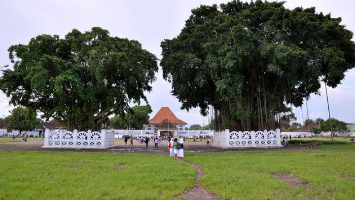 Pohon Beringin Kembar Yogyakarta