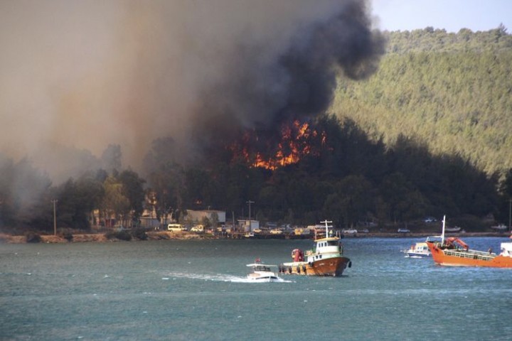 Kebakaran hutan di Turki. Sumber: Kompas.com