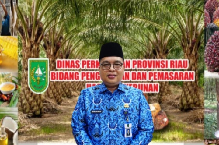 Kabid Pengolahan dan Pemasaran Disbun Riau Defris Hatmaja