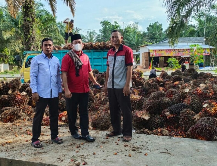 Wakil Ketua DPRD Riau, Syafarudin Poti (tengah) bersama petani sawit di Rohul 