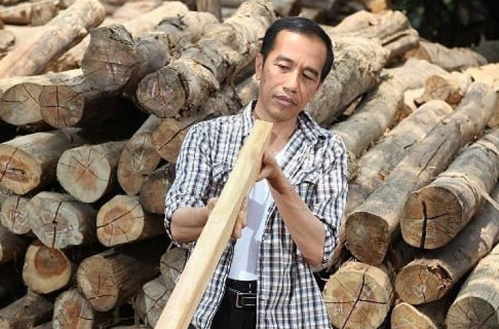 Joko Widodo memegang kayu. Sumber: Instagram/@adiany_napitupulu