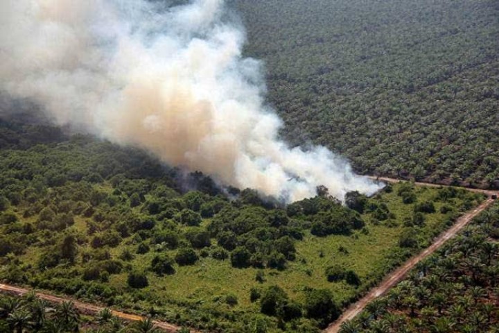 Sempat Nihil, Sore Ini Belasan Hotspot Muncul di Riau (foto/int)