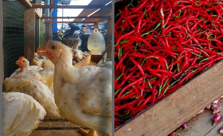 Kamis Ini Harga Ayam Ras di Pekanbaru Masih Rp28 Ribu da Cabai Merah Rp30 Ribu Per Kilogram (foto/int)