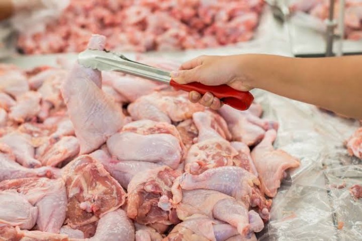 Harga Ayam Ras di Pekanbaru Turun Awal Pekan, Dijual Rp 23 Ribu Per Kilogram (foto/int)
