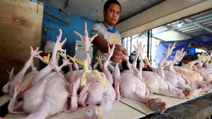Hari Ini Harga Ayam Ras dan Bawang Naik Tipis, Cabai Merah Turun Jadi Rp 32 Ribu Per Kilogram (foto/int)