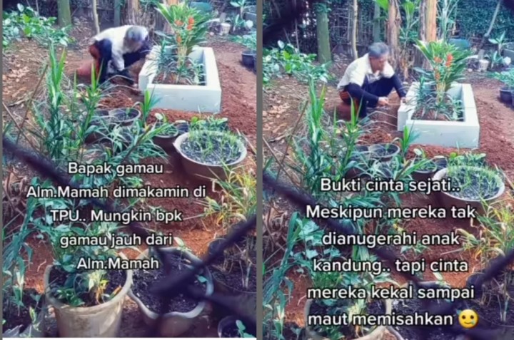 Viral Pria Tua Rawat Makam Istri di Halaman Rumah, Berpesan Jika Dia Meninggal Agar Dikuburkan Dekat Pusara Itu (foto/int)