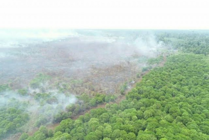 Sore Ini Hotspot di Provinsi Riau Melonjak, Terdeteksi 51 Titik Panas, Terbanyak di Kabupaten Siak (foto/int)