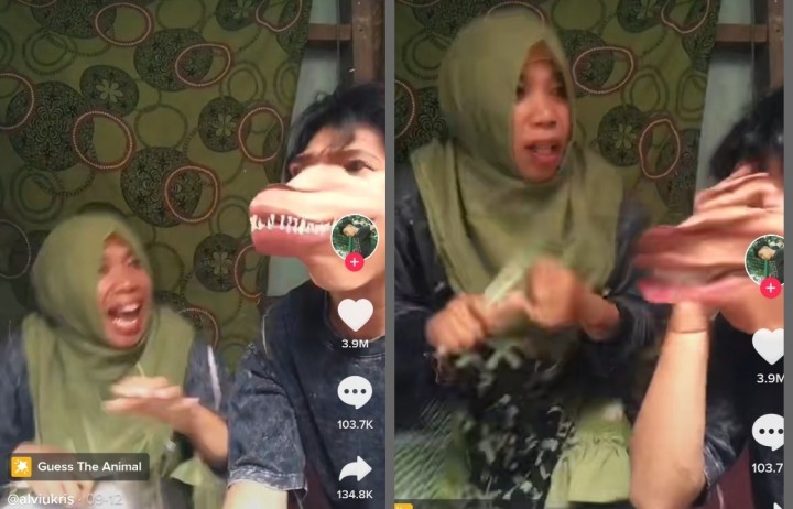 Ditonton Lebih 41 Juta Kali, Video Anak Bercanda dan Kagetkan Ibunya Ini Viral, Netizen: Sakit Enggak Ditimpuk (foto/int)