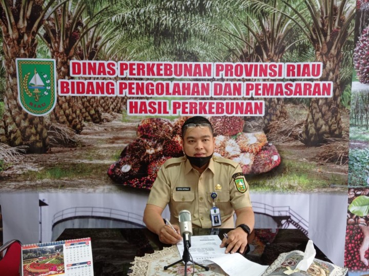 Kabid Pengolahan dan Pemasaran Dinas Perkebunan (Disbun) Riau, Defris Hatmaja