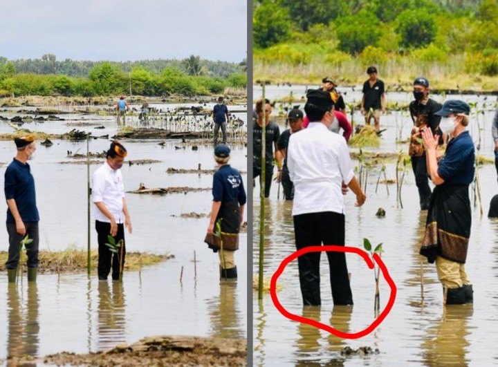 Presiden Jokowi Ajak Dubes Negara Sahabat Masuk Lumpur Untuk Tanam Mangrove, Netizen: Besok Pakai Bot Ya Pak (foto/int)