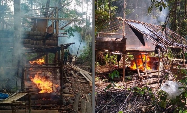 Tim BKSDA Riau Bakar dan Musnahkan Kayu Hasil Ilegal Logging di SM Giam Siak Kecil (foto/ist)