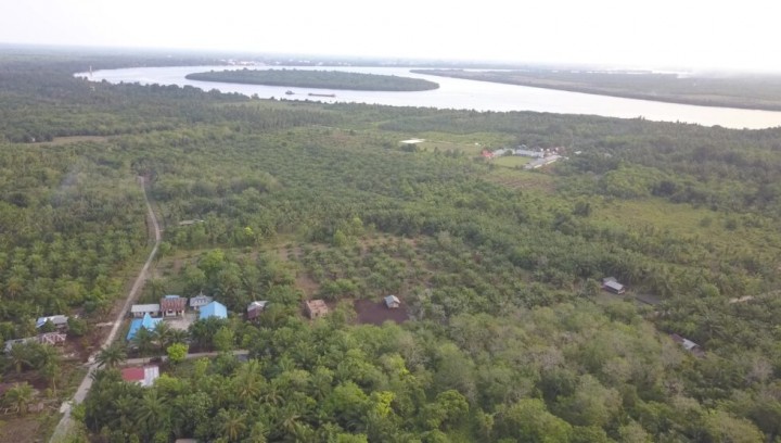 Kawasan Hutan Mangrove Tanjung Layang