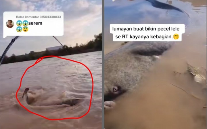 Viral Pemancing Dapat Perlawanan Ikan Besar, Netizen: Itu Penunggu Sungai (foto/int)