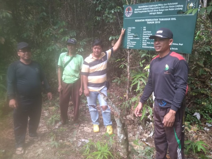  Kelompok Tani Harapan Desa di lokasi RHL Hutan Lindung Bukit Betabuh Desa Lubuk Ramo