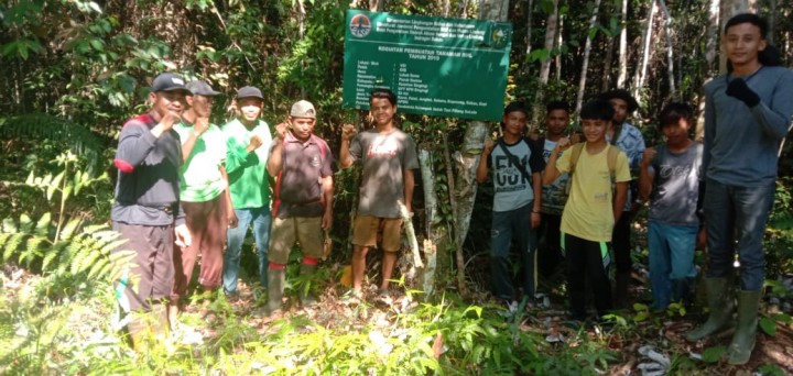 Kegiatan RHL Kelompok Tani Indah Tani Piliang Sakato Desa Lubuk Ramo Kecamatan Kuantan Mudik Kabupaten Kuantan Singingi