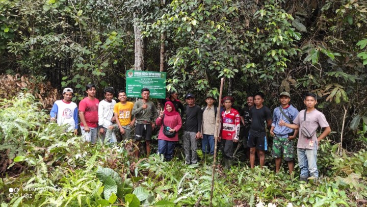 Kegiatan reboisasi RHL Kelompok Tani Sungai Kunyit Desa Lubuk Ramo Kuansing