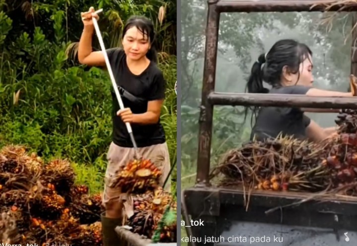 Video Wanita Cantik Hujan-hujanan Muat Sawit Viral, Ditonton 1 Juta Kali, Netizen: Sulit Dicari (foto/int)
