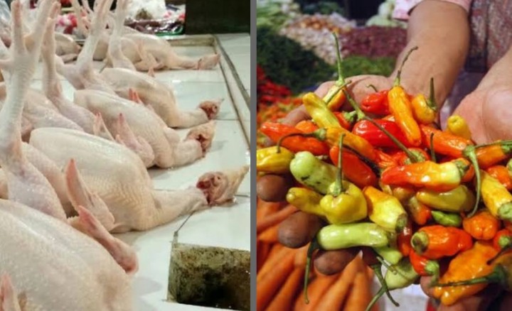 Harga Cabai Rawit Naik dan Daging Ayam Masih Stabil di Pekanbaru (foto/int)