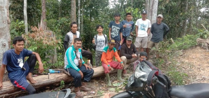 Kegiatan RHL Kelompok Tani Saiyo Sakato Pulihkan Hutan Lindung di Lubuk Ramo