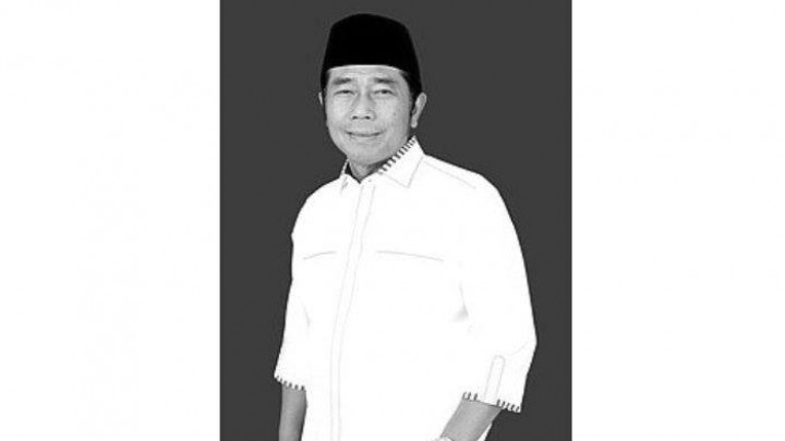 Penyebab Ketua PPP DKI Jakarta Haji Lulung Meninggal Dunia (foto/int)