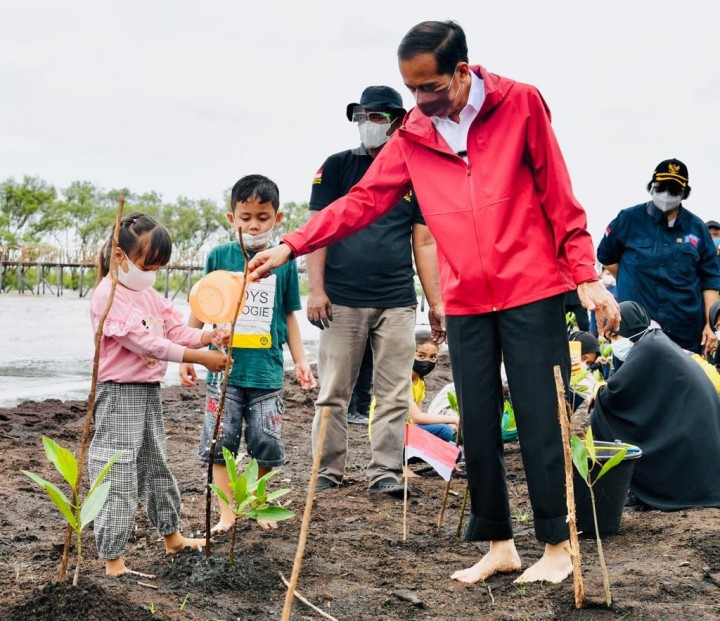 Kisah PKPRM Mangrove di Riau: Semangat Menanam Mangrove Hingga Didatangi Presiden Jokowi (foto/int)