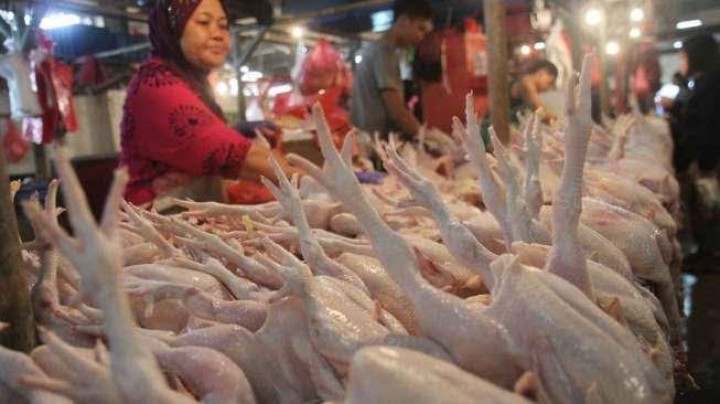 Jelang Momen Tahun Baru 2022, Harga Ayam Ras Sudah Menyentuh Harga Rp30 Ribu Per Kilogram di Pekanbaru (foto/int)