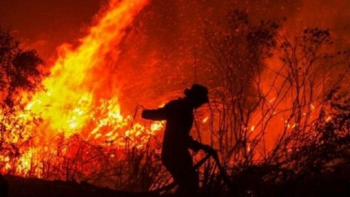 Kebakaran hutan. Sumber: BBC