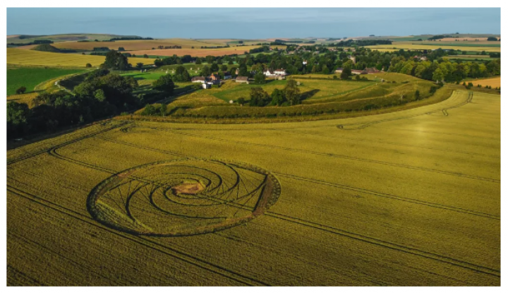 Lingkaran tanaman di ladang di luar desa Avebury, Wiltshire, Inggris (Kredit gambar: Getty/ Paul Brown)