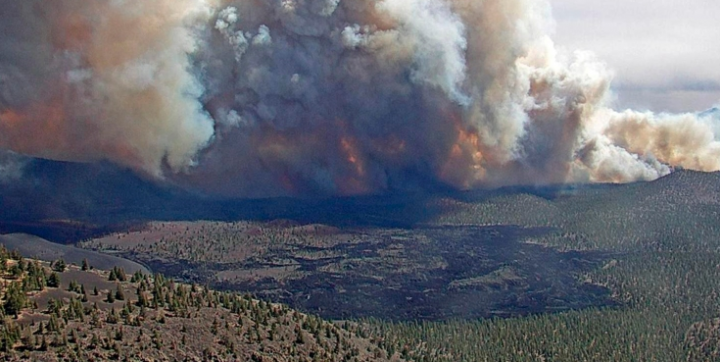 Angin kencang menendang dinding api yang menjulang tinggi di luar sebuah kota di Arizona utara [Coconino National Forest via AP]