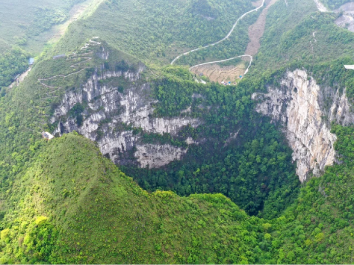 Hutan Purba Ditemukan Di Dasar Lubang Surgawi Raksasa Di Tiongkok
