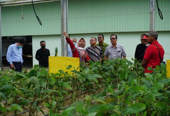 Rektor Universitas Lancang Kuning (Unilak) Dr Junaidi melakukan kunjungan ke PT Riau Andalan Pulp and Paper (PT RAPP) di Pangkalan Kerinci.