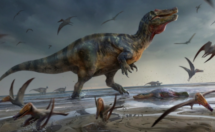 Ilustrasi seniman menunjukkan dinosaurus pemakan daging besar yang sisa-sisanya ditemukan di Isle of Wight Inggris