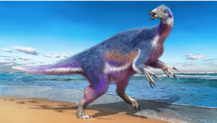 Spesies dinosaurus baru ditemukan di Jepang