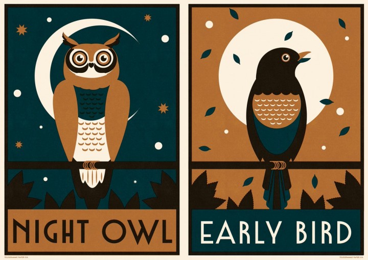 Mana yang Lebih Baik, Early Bird atau Night Owl/net
