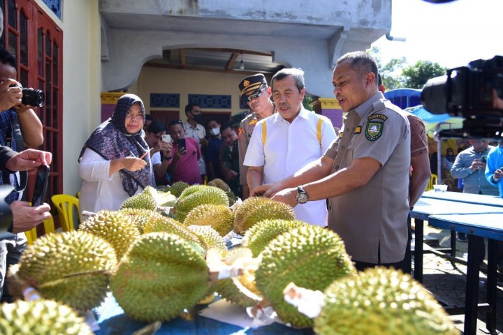 Gubenur Riau saat menyantap durian di Bengkalis
