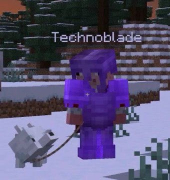 Minecraft YouTuber Technoblade yang populer telah meninggal dunia/net