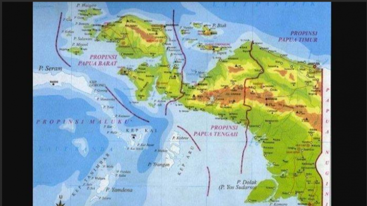 Peta Papua /kalteng.tribunnews.com