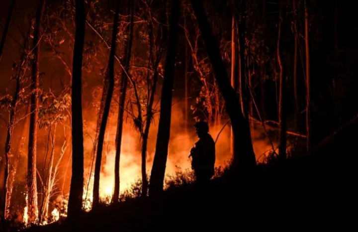 Seorang petugas pemadam kebakaran berdiri di hutan selama kebakaran hutan di Casais do Vento di Alvaiazere, Portugal pada 10 Juli 2022 [Patricia de Moreira/AFP]