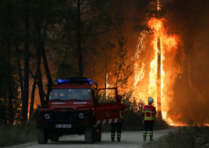 Petugas pemadam kebakaran menyaksikan kebakaran hutan di Ourem, distrik Santarem, Portugal 12 Juli 2022.