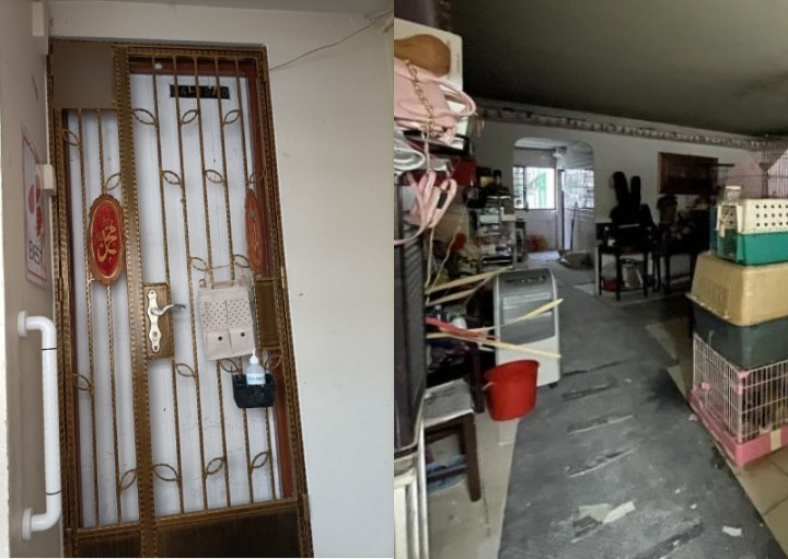 Wanita memelihara lebih dari 50 kucing di flat Yishun, beberapa penghuni belum membuka jendela dalam 10 tahun karena bau busuk