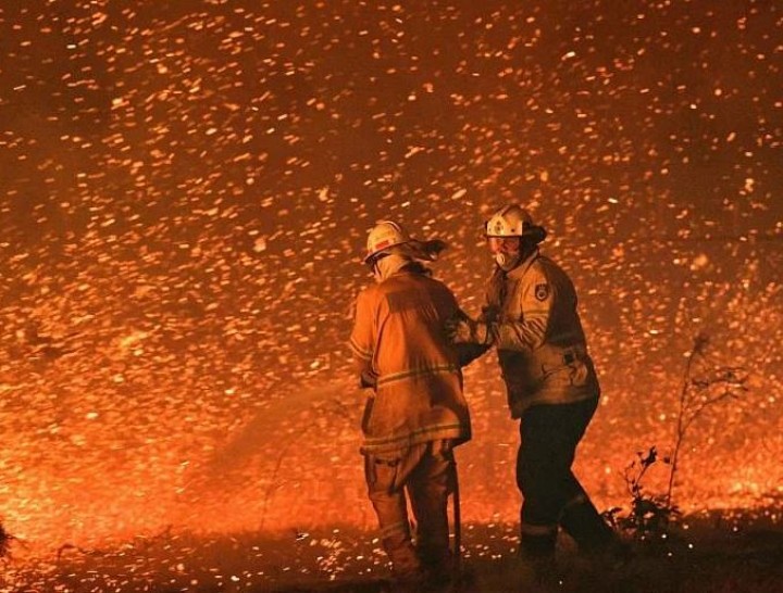 Foto : Petugas pemadam kebakaran berjuang melawan angin kencang di tengah kebakaran hutan di dekat kota Nowra, New South Wales