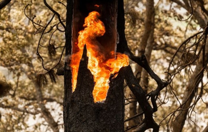 Tragis! Kebakaran Hutan di Washington Menghanguskan Beberapa Rumah, Sebuah Kota Kecil Terpaksa Dievakuasi