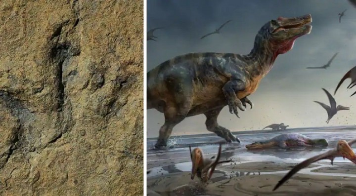 Ilmuwan Temukan Ribuan Jejak Kaki Dinosaurus Berusia 150 Juta Tahun di Chin