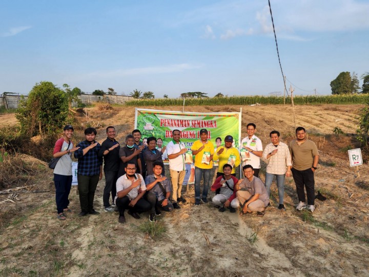 Wujudkan Ketahanan Pangan, DPD Pemuda Tani HKTI Riau Bersama Kelompok Tani Milenial Riau Tanam Jagung dan Semangka