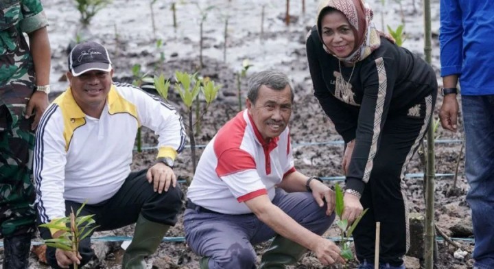 Gubri bersama istri dan pejabat lainnya saat tanam mangrove.