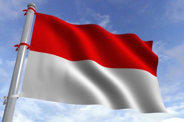 Inilah 6 fakta dan sejarah bendera Indonesia yang wajib kita ketahui /BAHANPENGAWET.COM