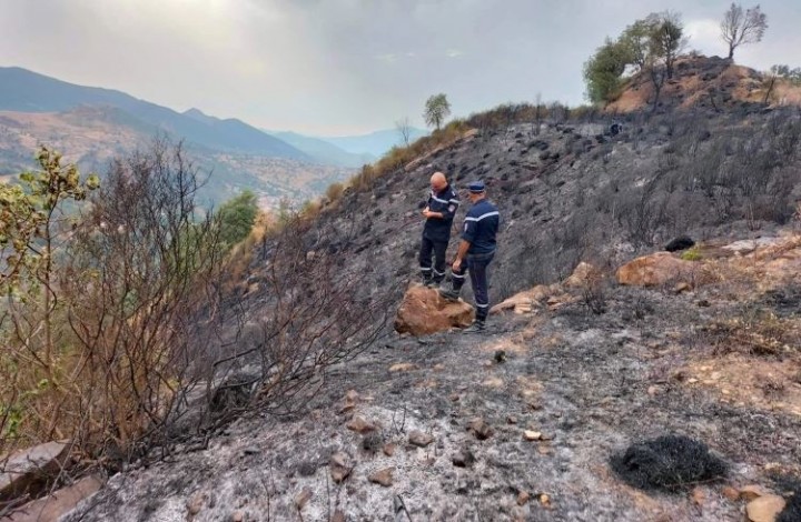 Petugas pemadam kebakaran setelah lokasi kebakaran di Setif, Aljazair [Badan Pertahanan Sipil Aljazair/Anadolu Agency]